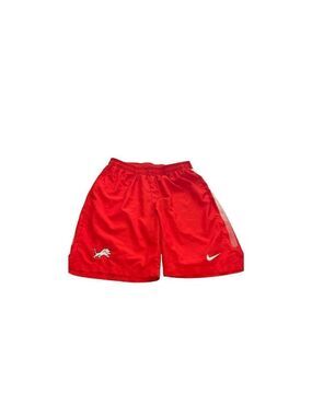 Nike Dri-fit Shorts size L